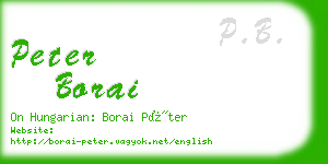 peter borai business card